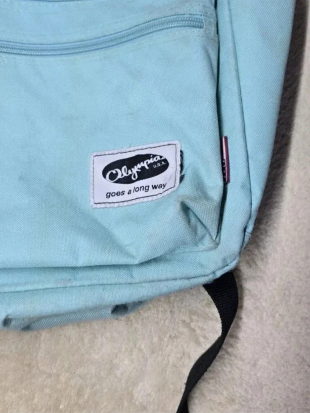 Princeton olympia backpack aqua color School Bag